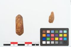 Foto von Bernsteinringperle (NHMW-PRAE-025873)